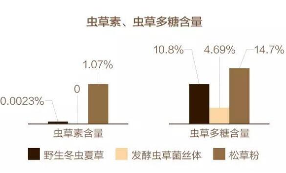 松花蛹虫草粉