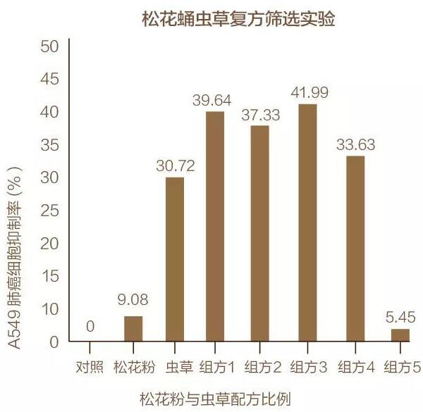 松花蛹虫草粉