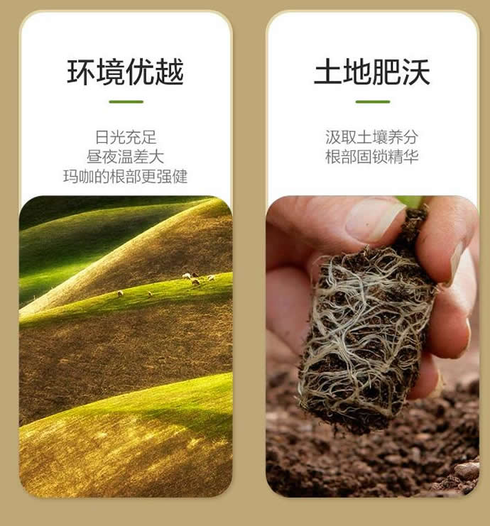 国珍颐扬玛咖牡蛎肽压片糖果